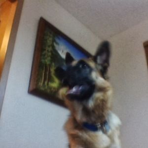 Meet your Posher, Jacob